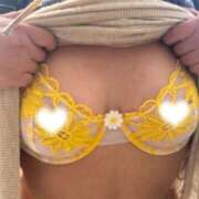 ヒメ日記 2025/04/17 10:46 投稿 いちか 素人妻御奉仕倶楽部Hip's松戸店