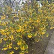 ヒメ日記 2025/05/06 10:29 投稿 いちか 素人妻御奉仕倶楽部Hip's松戸店