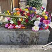 ヒメ日記 2025/05/07 09:56 投稿 いちか 素人妻御奉仕倶楽部Hip's松戸店