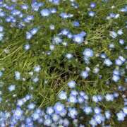 ヒメ日記 2025/05/14 10:26 投稿 いちか 素人妻御奉仕倶楽部Hip's松戸店