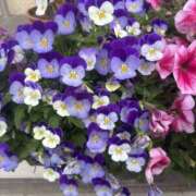 ヒメ日記 2025/06/04 10:45 投稿 いちか 素人妻御奉仕倶楽部Hip's松戸店