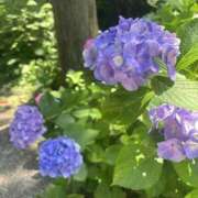 ヒメ日記 2025/06/23 10:18 投稿 いちか 素人妻御奉仕倶楽部Hip's松戸店