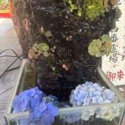 ヒメ日記 2025/07/16 10:20 投稿 いちか 素人妻御奉仕倶楽部Hip's松戸店