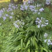 ヒメ日記 2025/07/19 10:16 投稿 いちか 素人妻御奉仕倶楽部Hip's松戸店