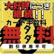 ヒメ日記 2025/07/24 11:38 投稿 いちか 素人妻御奉仕倶楽部Hip's松戸店