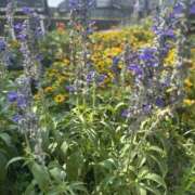 ヒメ日記 2025/08/20 10:57 投稿 いちか 素人妻御奉仕倶楽部Hip's松戸店