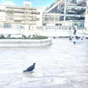 ヒメ日記 2025/08/21 10:17 投稿 いちか 素人妻御奉仕倶楽部Hip's松戸店