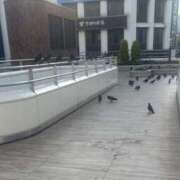 ヒメ日記 2025/09/02 19:29 投稿 いちか 素人妻御奉仕倶楽部Hip's松戸店