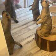 ヒメ日記 2025/09/04 14:59 投稿 いちか 素人妻御奉仕倶楽部Hip's松戸店