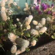 ヒメ日記 2025/09/15 10:49 投稿 いちか 素人妻御奉仕倶楽部Hip's松戸店