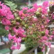 ヒメ日記 2025/11/12 10:36 投稿 いちか 素人妻御奉仕倶楽部Hip's松戸店