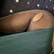 ヒメ日記 2025/11/21 10:59 投稿 いちか 素人妻御奉仕倶楽部Hip's松戸店