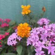 ヒメ日記 2025/11/22 16:44 投稿 いちか 素人妻御奉仕倶楽部Hip's松戸店