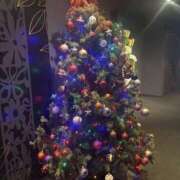 ヒメ日記 2025/12/11 13:29 投稿 いちか 素人妻御奉仕倶楽部Hip's松戸店