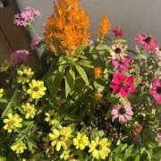 ヒメ日記 2025/12/13 21:33 投稿 いちか 素人妻御奉仕倶楽部Hip's松戸店