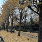 ヒメ日記 2025/12/25 10:59 投稿 いちか 素人妻御奉仕倶楽部Hip's松戸店