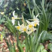 ヒメ日記 2026/03/19 08:29 投稿 いちか 素人妻御奉仕倶楽部Hip's松戸店