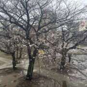 ヒメ日記 2026/03/26 13:19 投稿 いちか 素人妻御奉仕倶楽部Hip's松戸店