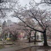 ヒメ日記 2026/04/04 14:59 投稿 いちか 素人妻御奉仕倶楽部Hip's松戸店