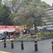 ヒメ日記 2026/04/04 15:39 投稿 いちか 素人妻御奉仕倶楽部Hip's松戸店