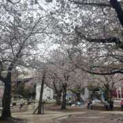 ヒメ日記 2026/04/05 14:49 投稿 いちか 素人妻御奉仕倶楽部Hip's松戸店