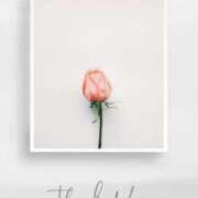 ヒメ日記 2024/12/16 09:21 投稿 あゆみ 治療院.LOVE小山店