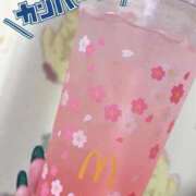 ヒメ日記 2025/03/13 08:23 投稿 かえで cocoro