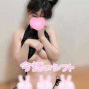 ヒメ日記 2025/05/08 07:03 投稿 ゆき 痴女@女王様