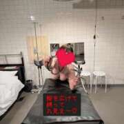 ヒメ日記 2025/06/17 06:13 投稿 ゆき 痴女@女王様