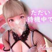 ヒメ日記 2024/12/29 17:34 投稿 ひめか マリン宮殿水戸店