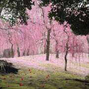 ヒメ日記 2026/03/01 09:27 投稿 三井はな 人妻百花