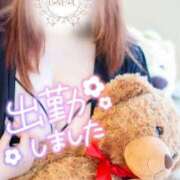 ヒメ日記 2025/02/19 14:03 投稿 ♡カノン♡ ラブ♡エル