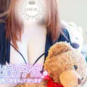 ヒメ日記 2025/04/14 08:01 投稿 ♡カノン♡ ラブ♡エル