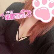 ヒメ日記 2025/04/20 15:36 投稿 ♡カノン♡ ラブ♡エル