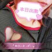 ヒメ日記 2025/04/24 17:14 投稿 ♡カノン♡ ラブ♡エル