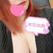 ヒメ日記 2025/05/29 11:21 投稿 ♡カノン♡ ラブ♡エル