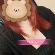 ヒメ日記 2025/05/29 16:23 投稿 ♡カノン♡ ラブ♡エル