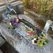 ヒメ日記 2025/01/14 22:54 投稿 ももえ 奥様の実話 谷九店