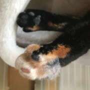 ヒメ日記 2025/01/29 21:19 投稿 ももえ 奥様の実話 谷九店