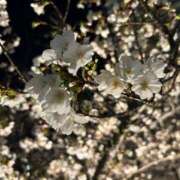 ヒメ日記 2025/04/03 23:40 投稿 ももえ 奥様の実話 谷九店