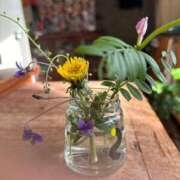 ヒメ日記 2025/04/04 08:50 投稿 ももえ 奥様の実話 谷九店