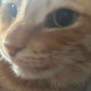 ヒメ日記 2025/04/06 21:35 投稿 ももえ 奥様の実話 谷九店