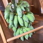 ヒメ日記 2025/04/08 21:48 投稿 ももえ 奥様の実話 谷九店