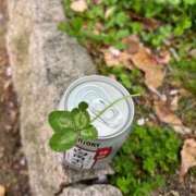 ヒメ日記 2025/04/19 18:25 投稿 ももえ 奥様の実話 谷九店