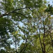 ヒメ日記 2025/04/20 21:14 投稿 ももえ 奥様の実話 谷九店