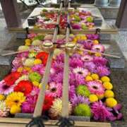 ヒメ日記 2025/04/23 07:14 投稿 ももえ 奥様の実話 谷九店