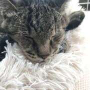 ヒメ日記 2025/05/10 22:01 投稿 ももえ 奥様の実話 谷九店