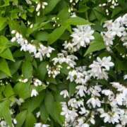 ヒメ日記 2025/05/11 18:02 投稿 ももえ 奥様の実話 谷九店