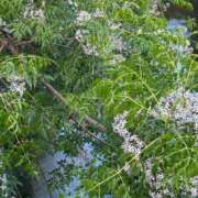 ヒメ日記 2025/05/13 19:03 投稿 ももえ 奥様の実話 谷九店