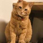 ヒメ日記 2025/05/17 06:49 投稿 ももえ 奥様の実話 谷九店